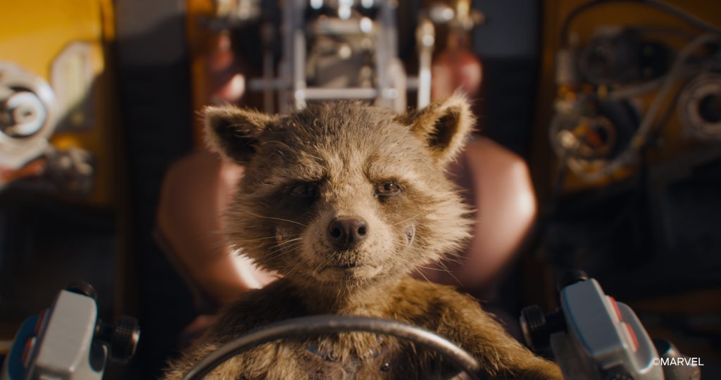 Nhiều phiên bản khác nhau của Rocket Raccoon được người hâm mộ yêu thích đã được tạo bằng Autodesk Maya, mỗi phiên bản đều có cá tính riêng.